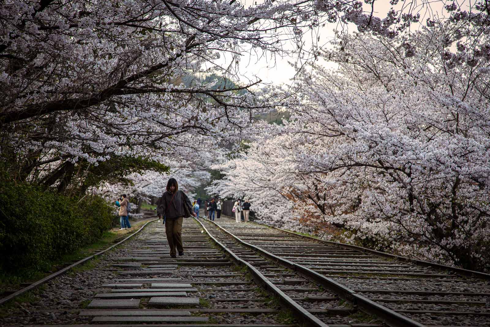 Hidden streets of Kyoto