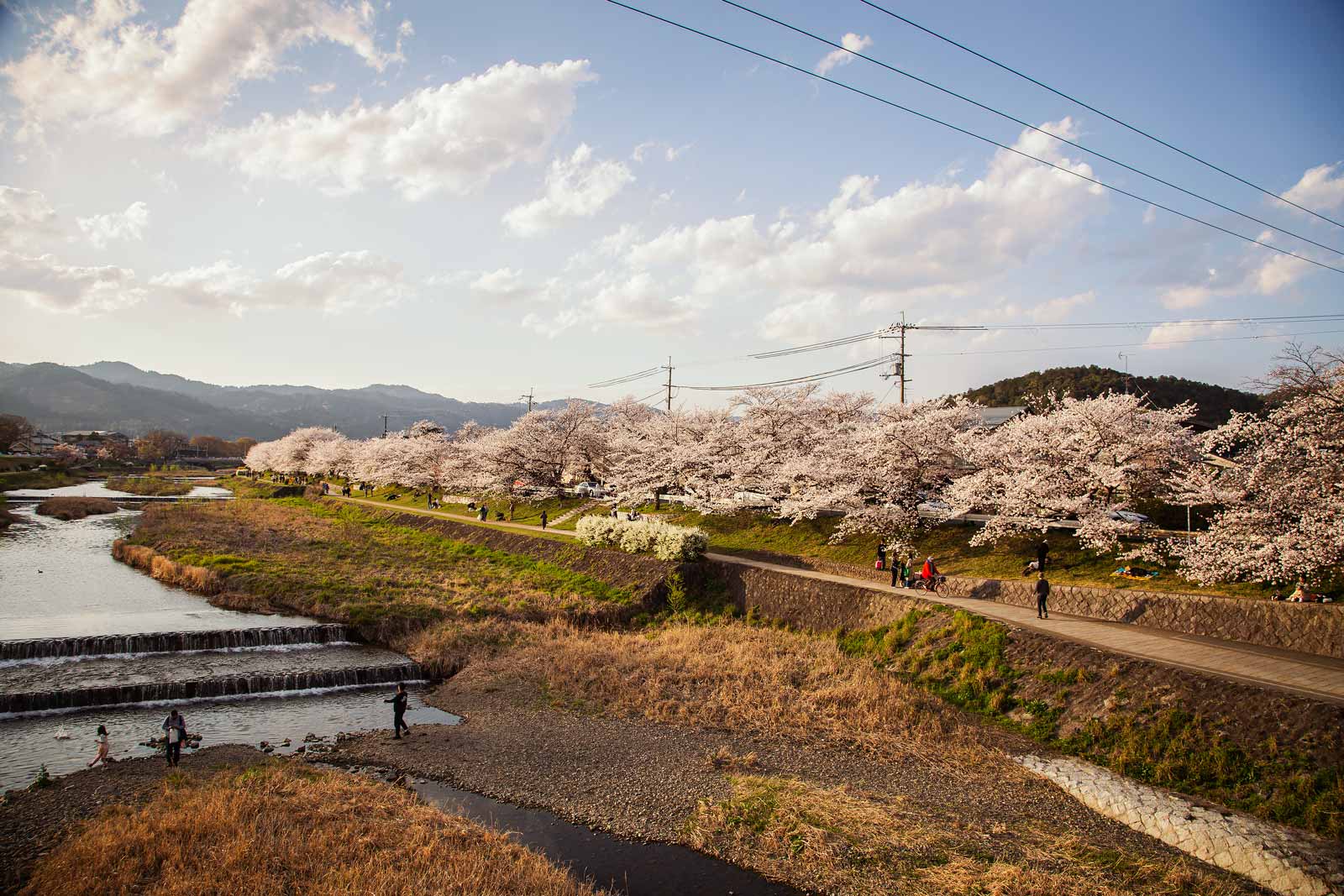 Peaceful Kamo River flowing through Kyoto