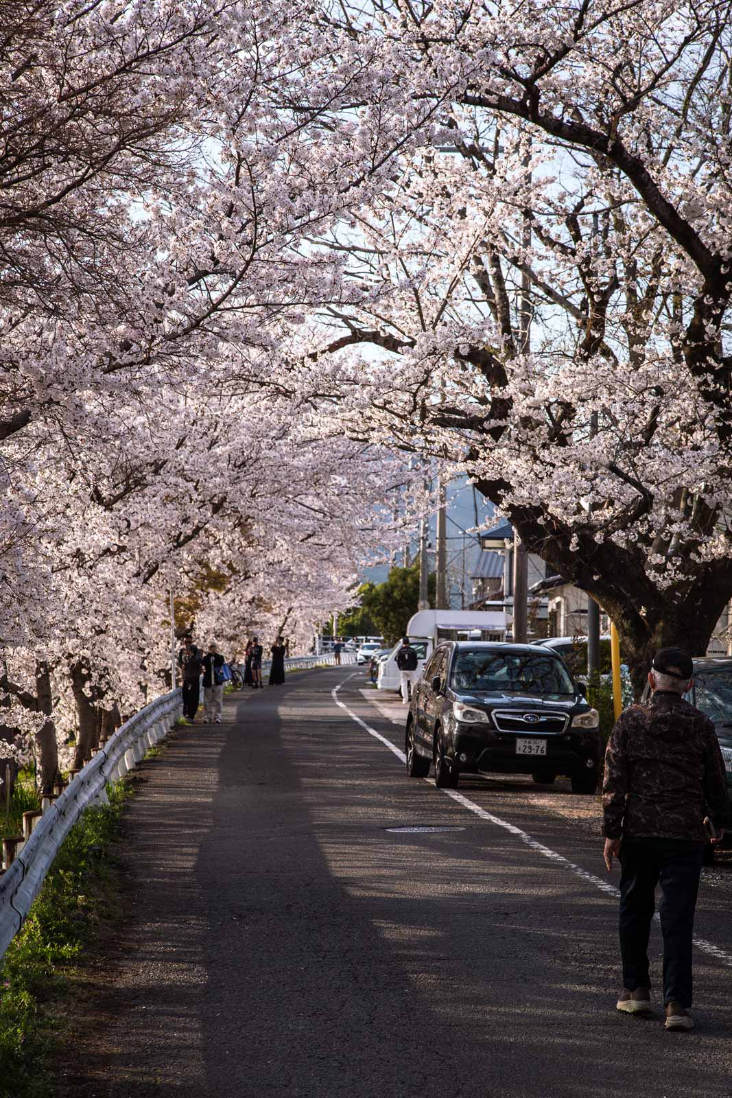 The hidden beauty of North Kyoto