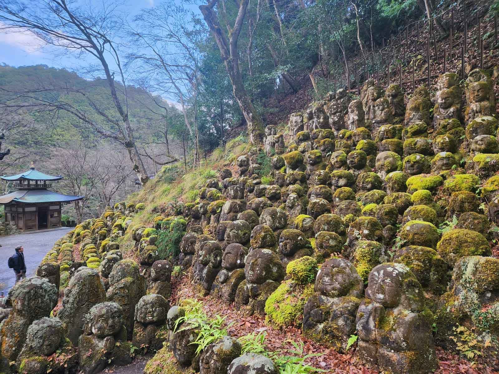 Arashiyama E-Biking